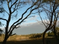 Early Light 14