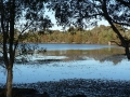 Early Light 15
