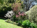 Flower Festival 01