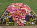 Flower Festival 25