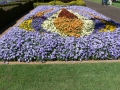 Flower Festival 26