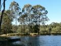 Lakeside 05