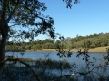 Lakeside 08