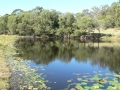 Lakeside 10