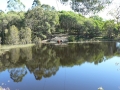 Lakeside 11