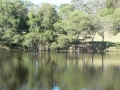 Lakeside 12