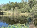 Lakeside 14