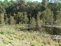 Lakeside 15
