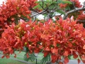 Late Spring 02