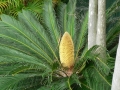 Late Spring 05