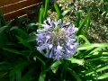 Late Spring 06
