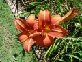Late Spring 09