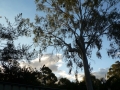 Morning Walk01