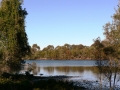 Morning Walk02