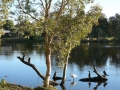 Morning Walk04
