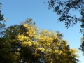 Morning Walk05