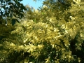 Morning Walk10
