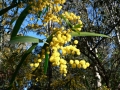 Morning Walk12