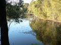 Morning Walk15