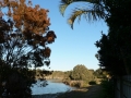 Morning Walk16