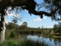 Quiet Waters01