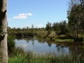 Quiet Waters02