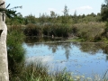 Quiet Waters03