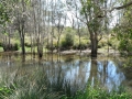 Quiet Waters05
