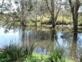 Quiet Waters06
