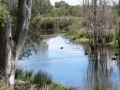 Quiet Waters07