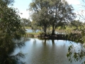 Quiet Waters08