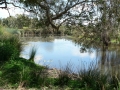 Quiet Waters10