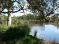 Quiet Waters11