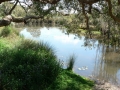 Quiet Waters12