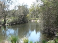 Quiet Waters13