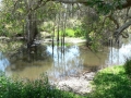 Quiet Waters14