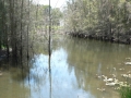 Quiet Waters15