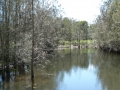 Quiet Waters16