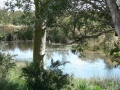 Quiet Waters19