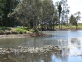 Quiet Waters20