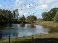 Quiet Waters21