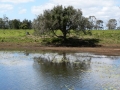 Quiet Waters22