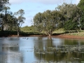 Quiet Waters23