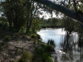 Quiet Waters24