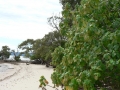 Sea and Sky 05