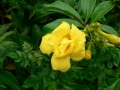Springtime 04