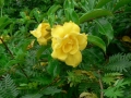 Springtime 06