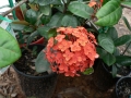 Springtime 07