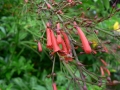 Springtime 08