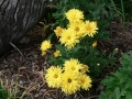 Springtime 10
